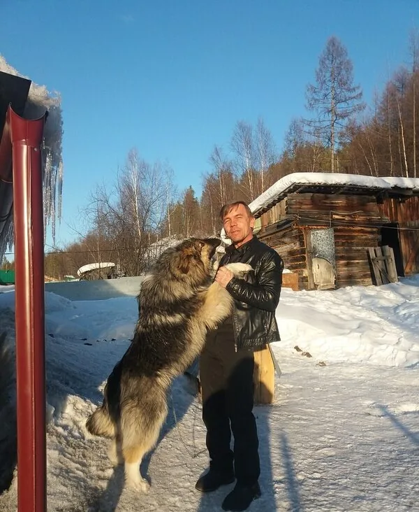 Стёпа