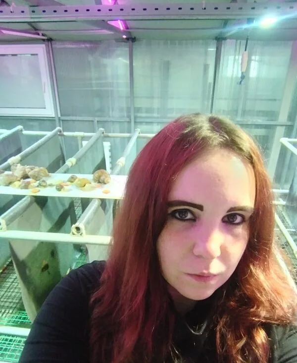 Лиза